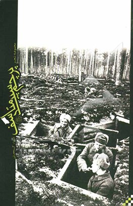 پرچم سپید متاسف: مجموعه شعر