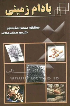 بادام زمینی