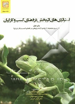 استراتژی‌های اثربخش در فضای کسب و کار ایران