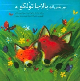 بیر یئنی ائو بالاجا تولکویه