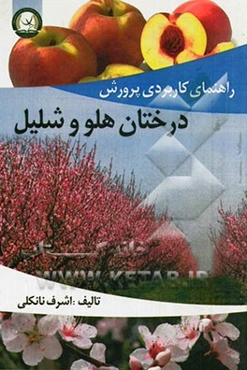 راهنمای کاربردی پرورش درختان هلو و شلیل