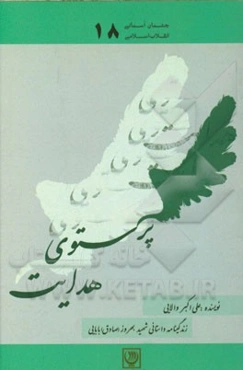 پرستوی هدایت: زندگی‌نامه داستانی شهید بهروز (صادق) بابایی