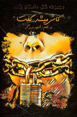 کاش میشد گفت ...