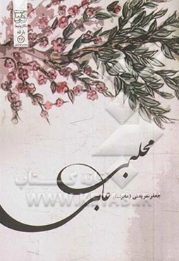 محله بی‌عابر: مجموعه شعر