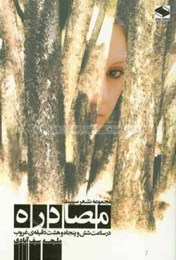 مصادره در ساعت شش و پنجاه و هشت دقیقه‌ی غروب (مجموعه شعر)