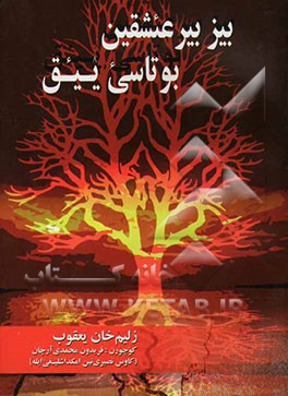 بیز بیر عئشقین بوتاسی ‌ییق