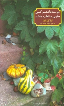 دوست داشتم کسی جایی منتظرم باشد