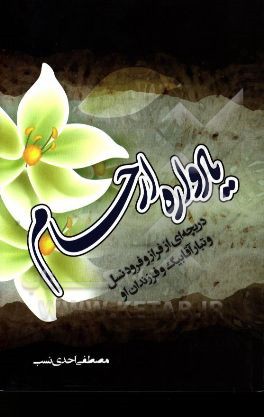 یادواره ارحام: دریچه‌ای از فراز و فرود نسل و تبار آقابیگ و فرزندان او