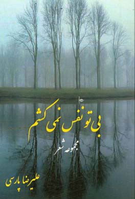 بی‌تو نفس نمی‌کشم: مجموعه شعر