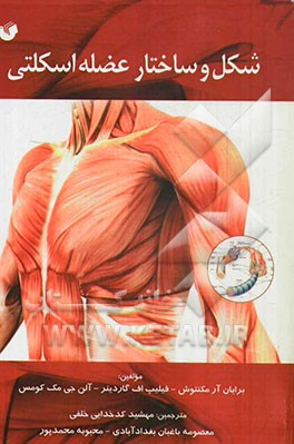 شکل و ساختار عضله اسکلتی