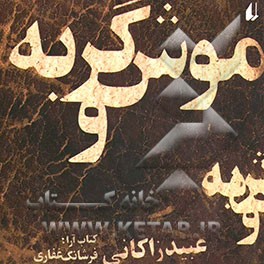 موش و گربه