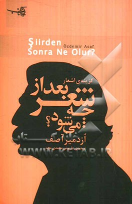 بعد از شعر چه می‌شود؟: گزینه اشعار