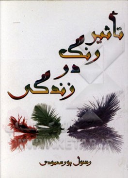 تاثیر رنگ در زندگی