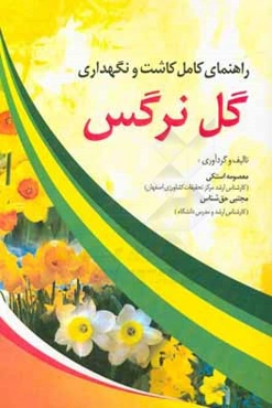 راهنمای کامل کاشت و نگهداری گل نرگس