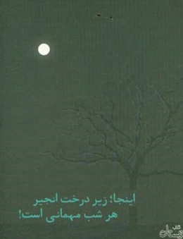 اینجا؛ زیر درخت انجیر هر شب مهمانی است: مجموعه داستان