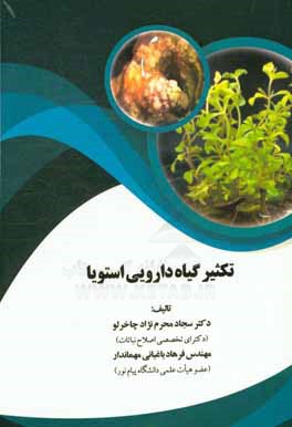 تکثیر گیاه دارویی استویا