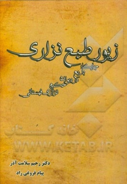 زیور طبع نزاری (جایگاه بدیع در دیوان حکیم نزاری قهستانی)