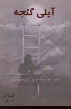 آیلی گئجه