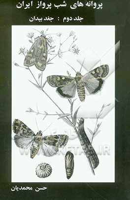 پروانه‌های شب پرواز ایران: جغد بیدان