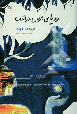 ردپای خرس در شب