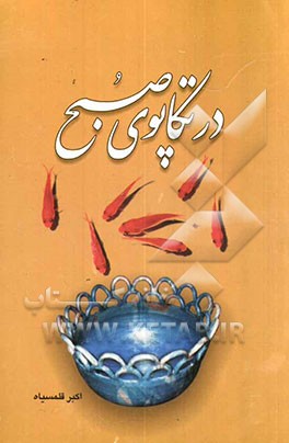 در تکاپوی صبح