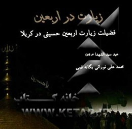 زیارت در اربعین: فضیلت زیارت اربعین حسینی (ع) در کربلا