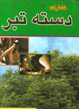 خاطرات دسته تبر