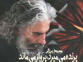 پرنده می‌میرد، پرواز می‌ماند