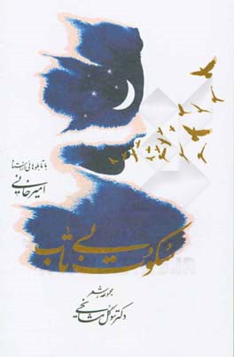 سکوت بی‌تاب