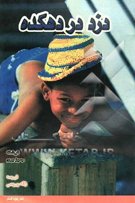 دزد در دهکده