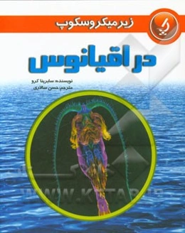 در اقیانوس