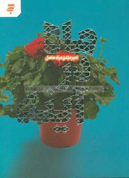 ماه در آینه