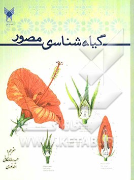 گیاه‌شناسی مصور: مقدمه‌ای بر گروه‌های اصلی گیاهان و خانواده‌های گیاهان گلدار