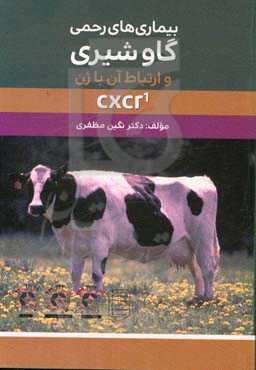 بیماری های رحمی گاو شیری و ارتباط آن با ژن CXCR1
