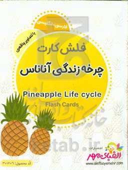 چرخه زندگی آناناس = Pineapple life cycle
