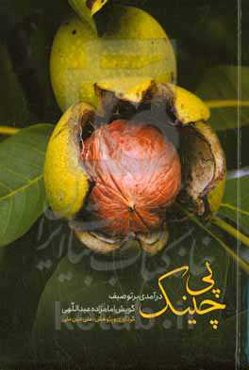 پی‌چینک: درآمدی بر توصیف گویش امامزاده عبداللهی