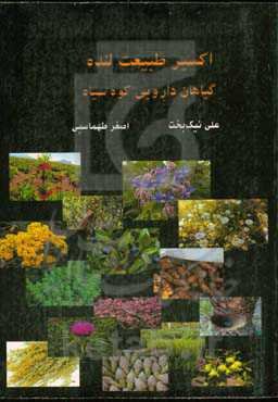 اکسیر طبیعت لنده: گیاهان دارویی کوه سیاه