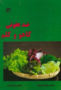 ضدعفونی کاهو و کلم