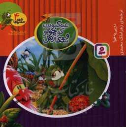 عنکبوت کوچولو و شکارش: برای پیش‌دبستانی‌ها و سال‌های اول و دوم