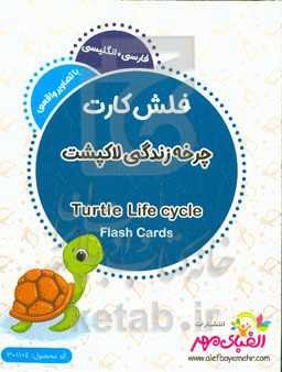 چرخه زندگی لاک‌پشت  دریایی = Sea turtle life cycle