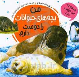 من بچه‌های حیوانات را دوست دارم