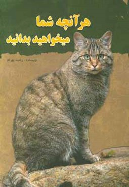 هر آنچه شما می‌خواهید بدانید