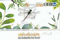 چتری برای دروی