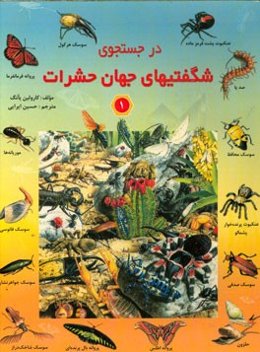 در جستجوی شگفتی‌های جهان حشرات 1