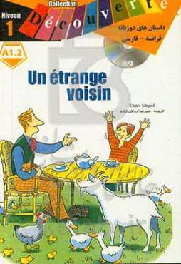 همسایه خارجی