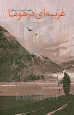 غریبه‌ای در هوما