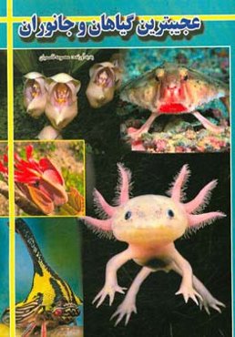 عجیب‌ترین گیاهان و جانوران