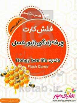 چرخه زندگی زنبور عسل = Honey bee life cycle