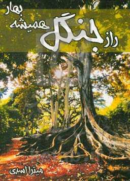 راز جنگل همیشه بهار