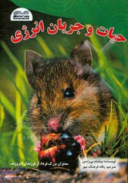 حیات و جریان انرژی